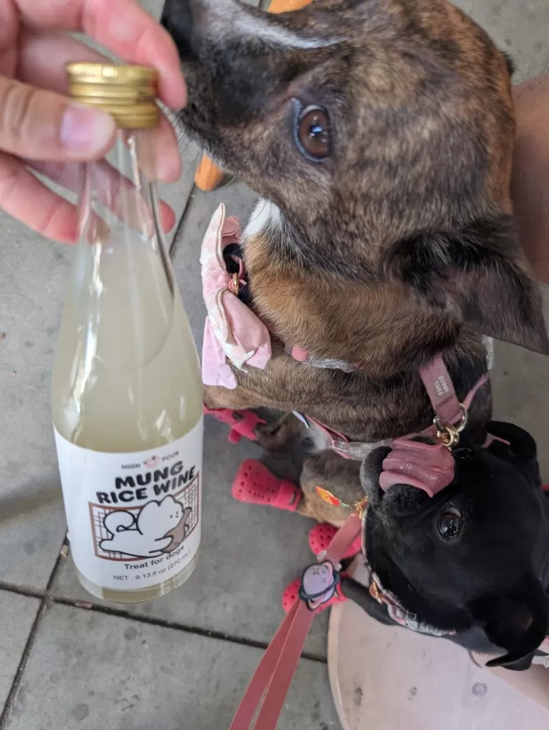 High Four Mung Ricewine for Dogs – Non-Alcoholic Dog Makgeolli, 9.13-oz Bottle