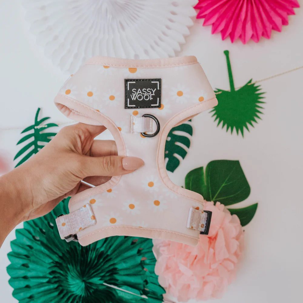 Sassy Woof Adjustable Dog Harness, Dainty Daisy