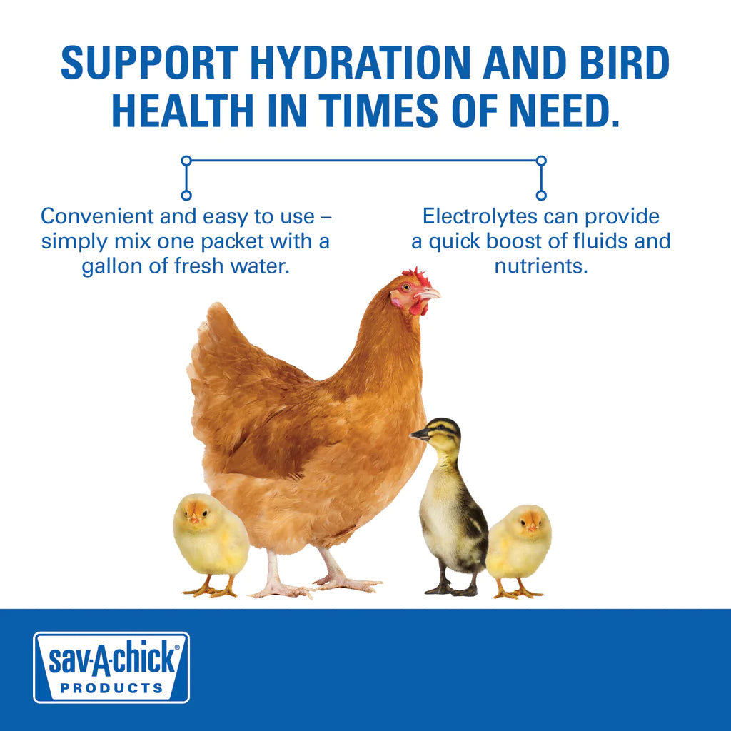 Sav-A-Chick Electrolyte & Vitamins, 3-Pack, Poultry Supplment