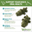 Whimzees All Natural Daily Large Alligator Dental Chews, 6-Count, Dog Chew