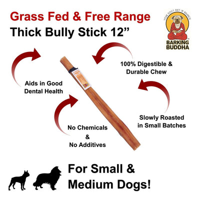 Barking Buddha Thick Bully Stick 12-inch, Dog Chew