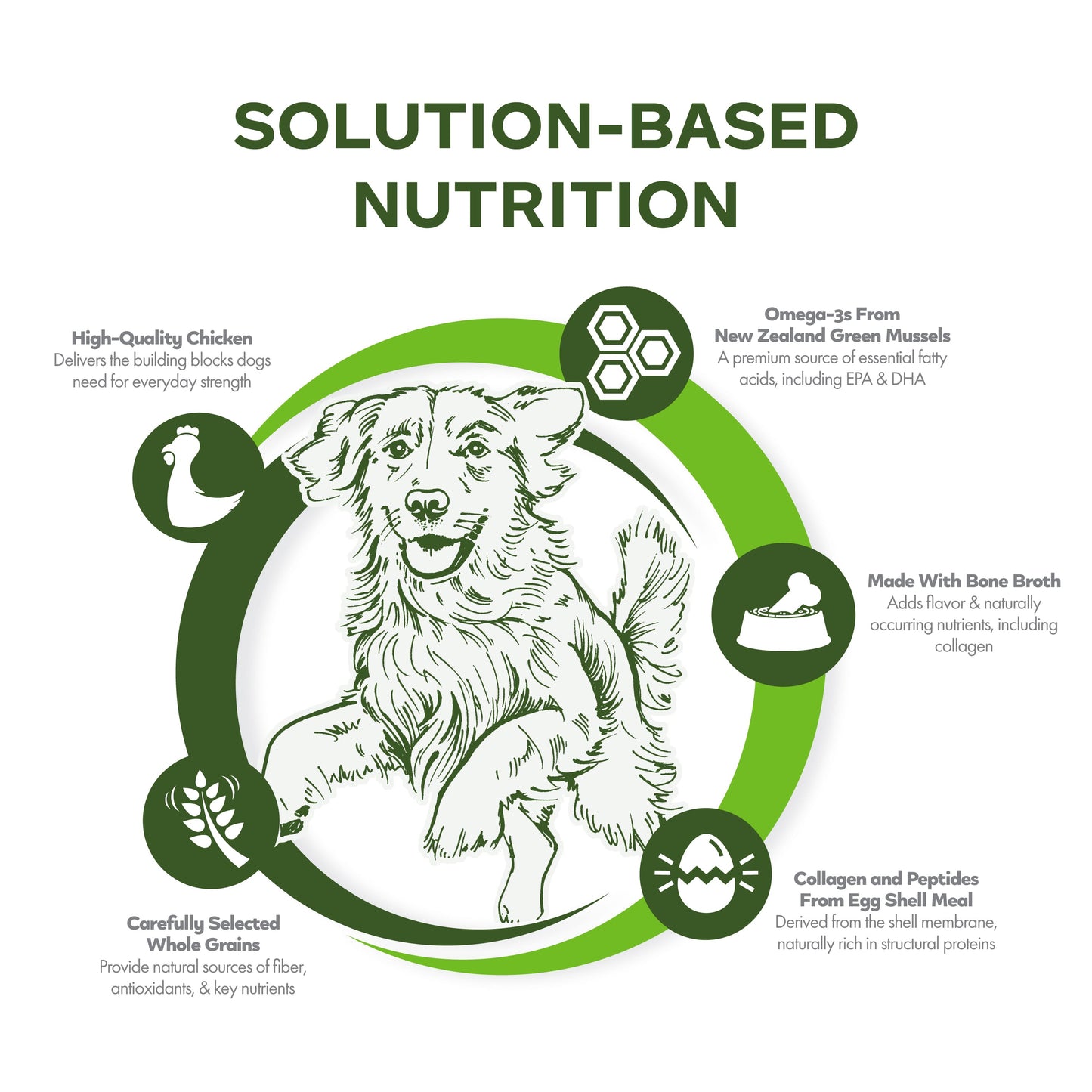 Fromm Nutritionals Mobility Chicken & Whole Oats Recipe, Dry Dog Food