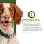 Fromm Nutritionals Mobility Chicken & Whole Oats Recipe, Dry Dog Food