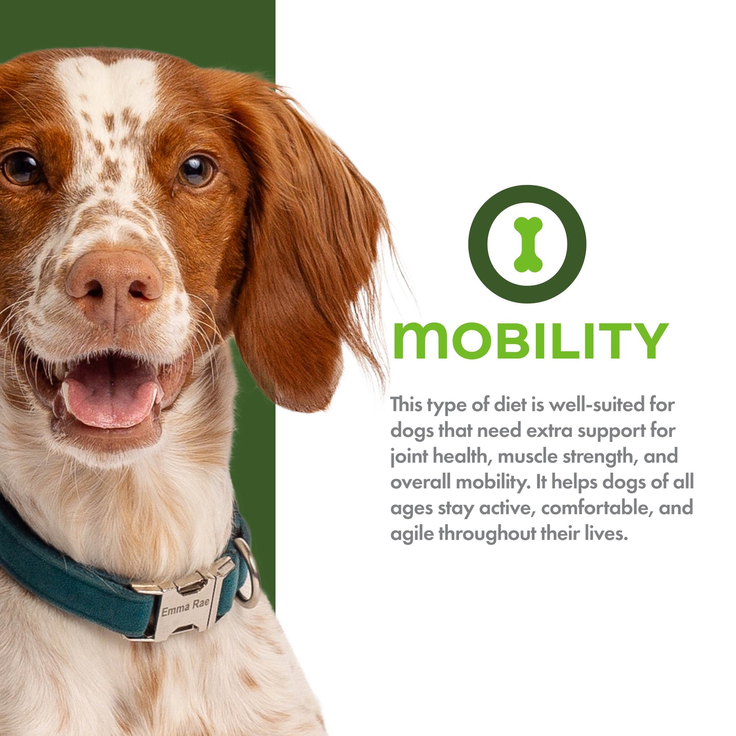 Fromm Nutritionals Mobility Chicken & Whole Oats Recipe, Dry Dog Food