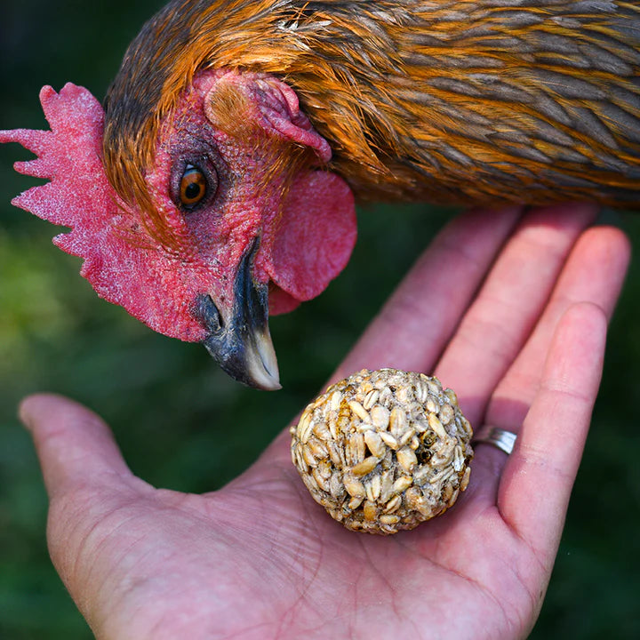 Happy Hen Treats Treat Tumblers Oat & Worm Balls 14-oz, Poultry Treat