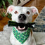 Wag & Bright Mighty Marrows | Collagen Dental Dog Chews, Beef & Spirulina Flavor