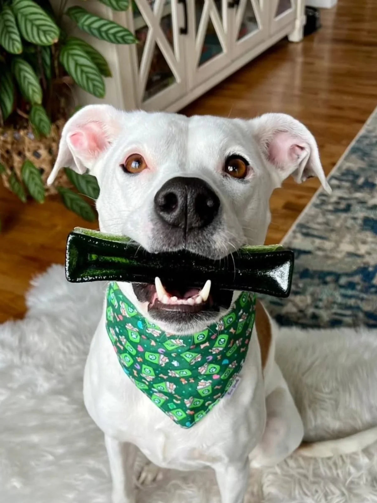 Wag & Bright Mighty Marrows | Collagen Dental Dog Chews, Beef & Spirulina Flavor