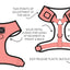 Sassy Woof Daisy Me Rolling Dog Harness