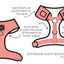 Sassy Woof Extra Small Adjustable Scooby-Doo, Dog Harness