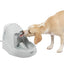 Petsafe Drinkwell Paltinum Pet Fountain, 168-oz Capacity