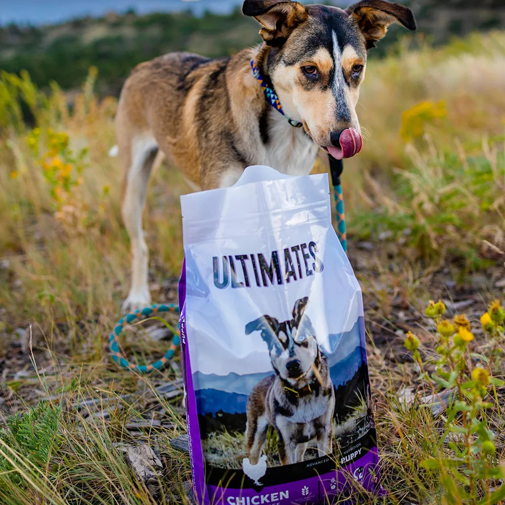 Ultimates Chicken Meal Rice Puppy Recipe 28 lb Dry Dog Food