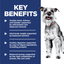 Hill's® Science Diet® Adult 7+ Small Paws™ Chicken Meal, Barley & Brown Rice Recipe Dry Dog Food