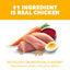 IAMS Smart Puppy with Real Chicken 3.3-lb, Dry Dog Food