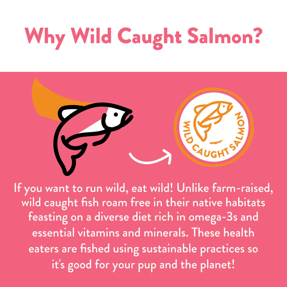 Shameless Pets Salmon Loves Butternut Jerky Bites 5-oz, Dog Treat