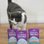 Stella & Chewy's Carnivore Cravings Savory Shreds - Salmon, Tuna, & Mackerel Recipe Dinner in Broth, 2.8-oz Pouch