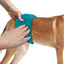 Simple Solution Washable Male Dog Wrap