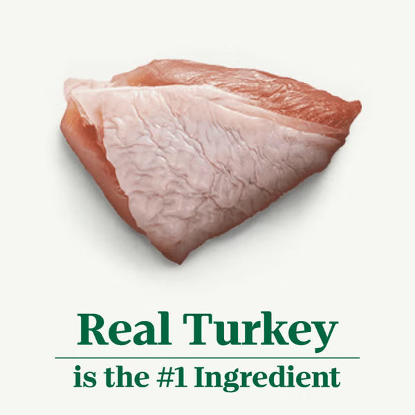 Nutro Healthy Turkey, Sweet Potato & Green Bean Recipe, Wet Dog Food, 12.5-oz Case of 12