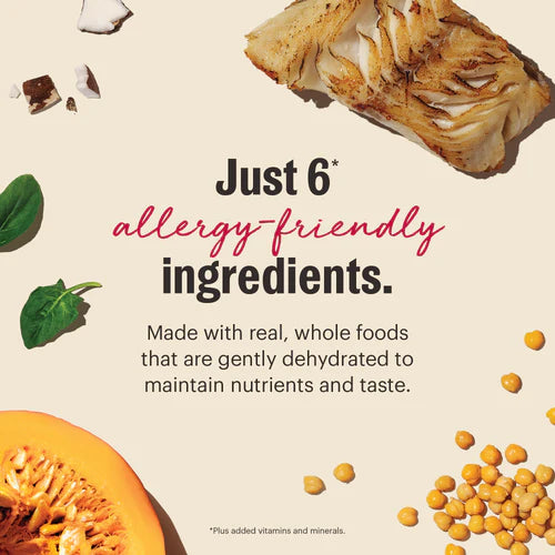 The Honest Kitchen Wholemade Limited Ingredient Fish, Dehydrated Dog Food, 10-lb Box