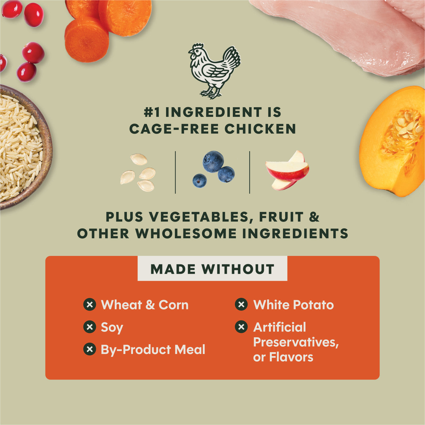 Instinct Raw Boost Gut Health With Chicken, Dry Dog Food, 3.5-lb Bag