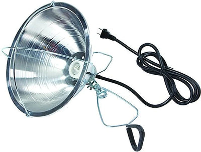 Little Giant Brooder Reflector Lamp With Clamp, 10.5-Inch