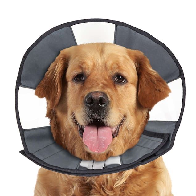 Soft neck cone for 2024 dogs