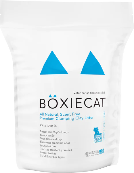 Clay free cat outlet litter