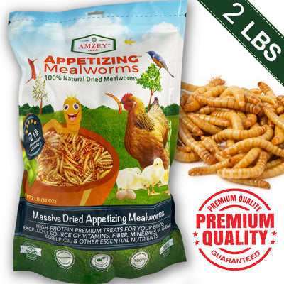 Amzey Appetizing Mealworms, Poultry Treat, 2-lb Bag