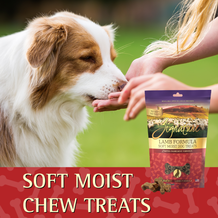 Zignature Soft Moist Treats Lamb Formula 4-oz, Dog Treat – Anaheim