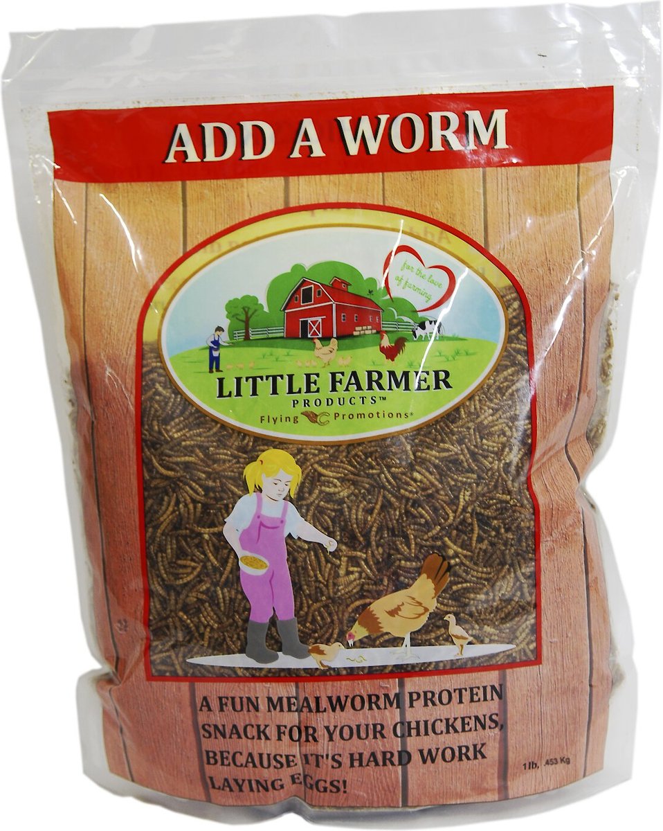 Little Farmer Add A Worm, Poultry Treat, 1-lb Bag