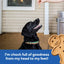 Buddy Biscuits Bacon & Cheese Recipe, Dog Treat