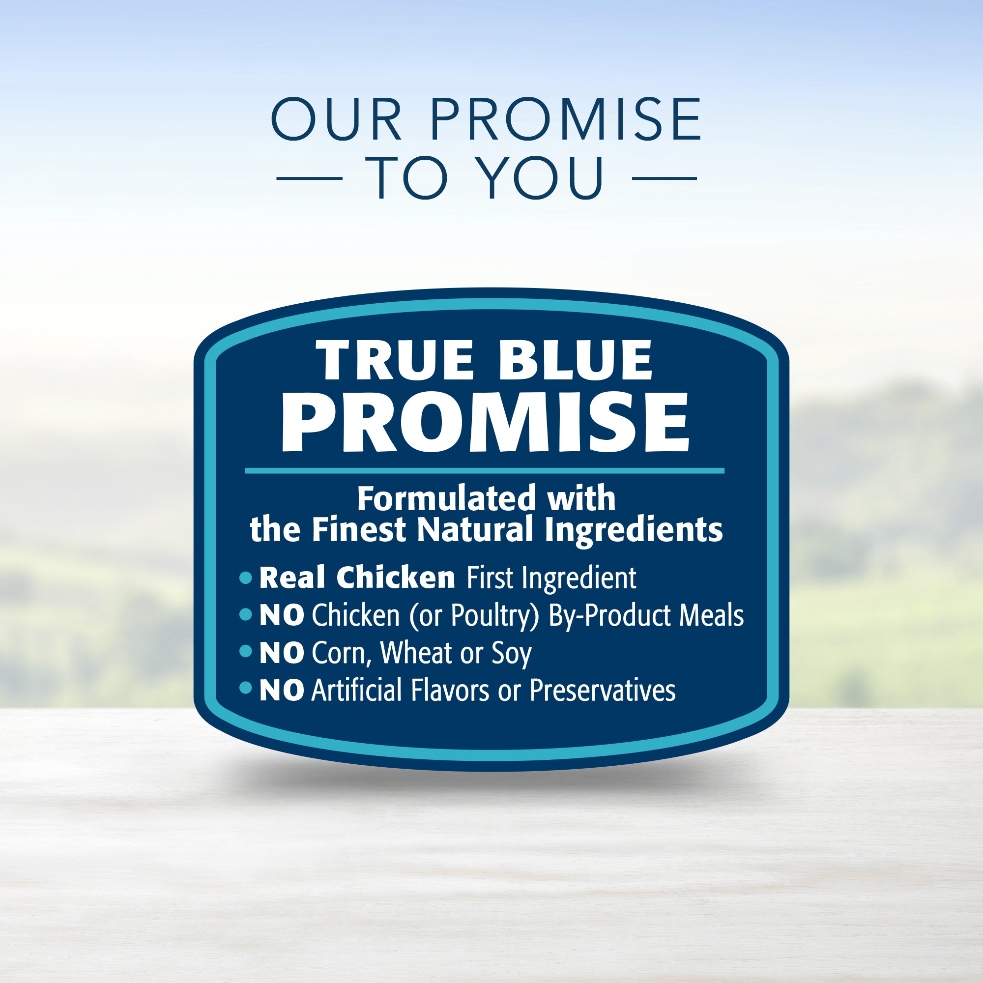 Blue buffalo outlet family favorites