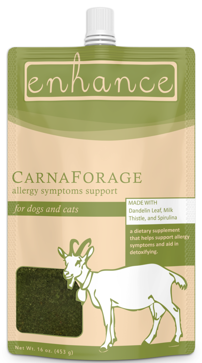 Steve's Enhance CarnaForage - Frozen Supplement for Dogs and Cats, 16-oz