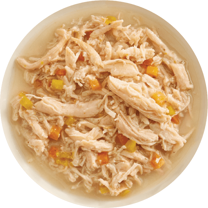 RAWZ® Shredded Chicken, Pumpkin, and New Zealand Green Mussels Recipe 2.46-oz, Wet Cat Food