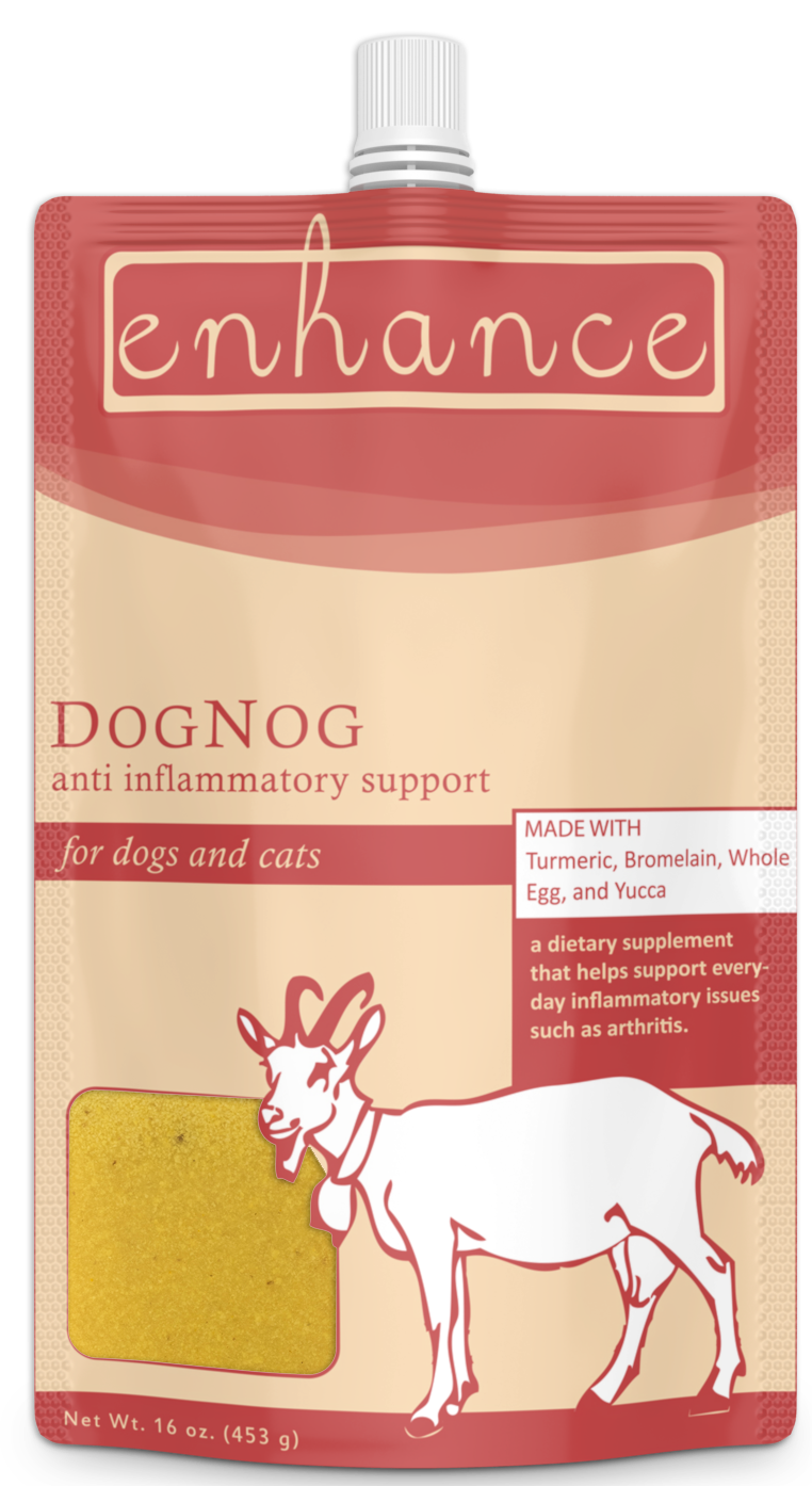 Steve's Enhance DogNog - Frozen Supplement for Dogs and Cats, 16-oz