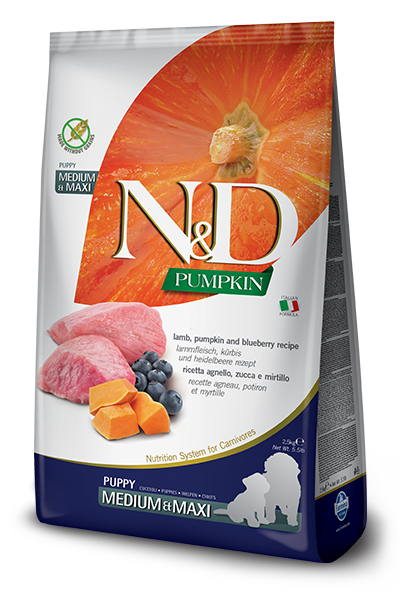 Farmina N&D Pumpkin Grain Free Puppy Lamb & Blueberry Medium Maxi Dry Dog Food
