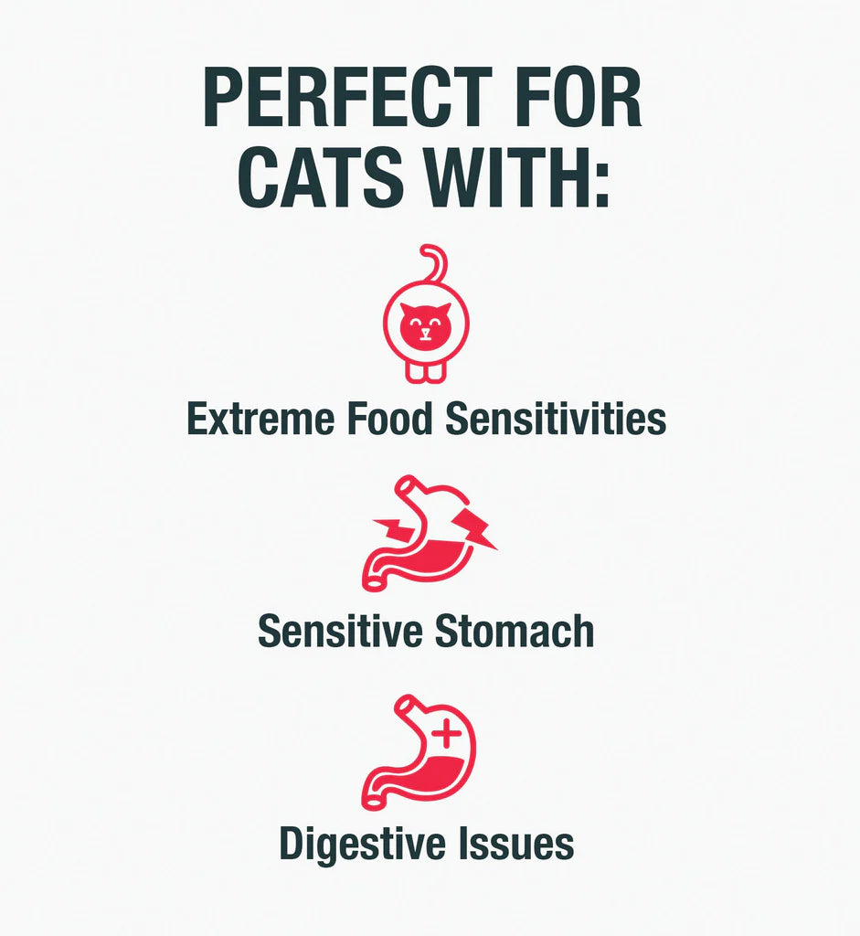 Koha Limited Ingredient Diet Rabbit Au Jus Pâté, Wet Cat Food, 3-Oz Case Of 24