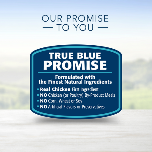 Blue Buffalo Life Protection Formula Natural Adult Large Breed Dry Dog Food, Chicken and Brown Rice