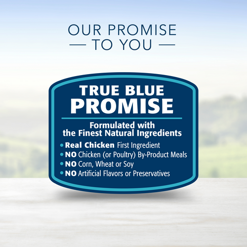 Blue Buffalo Life Protection Formula Natural Puppy Large Breed Dry Dog Food, Chicken and Brown Rice