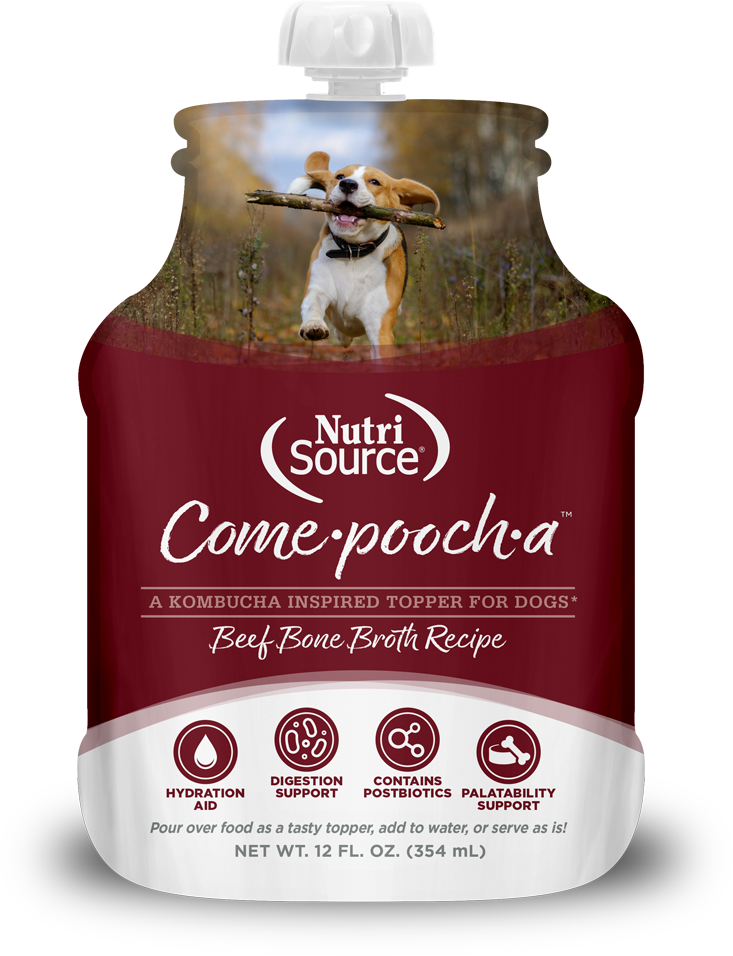 Nutrisource Come·pooch·a™ Beef Bone Broth 12-oz, Meal topper