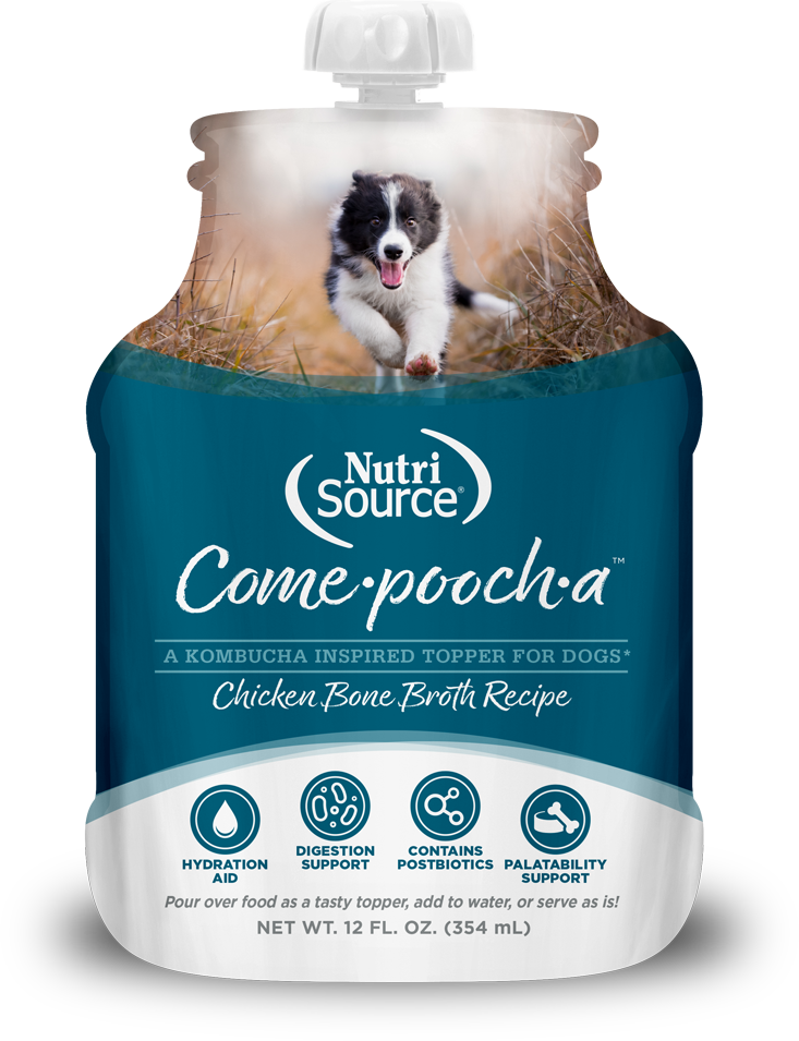 Nutrisource Come·pooch·a™ Chicken Bone Broth 12-oz, Meal topper