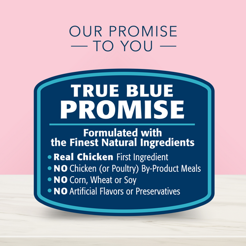 Blue Buffalo True Solutions Blissful Belly Natural Digestive Care Adult Wet Cat Food, Chicken, 3-oz Case of 24