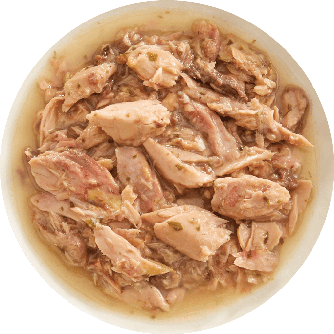 RAWZ® Shredded Tuna and Salmon Recipe, Wet Cat Food