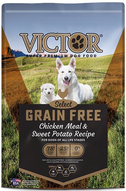 Victor Select Grain Free Chicken Meal & Sweet Potato Dry Dog Food