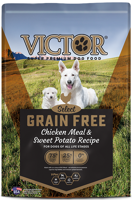 pet food victor dog food salmon and sweet potato