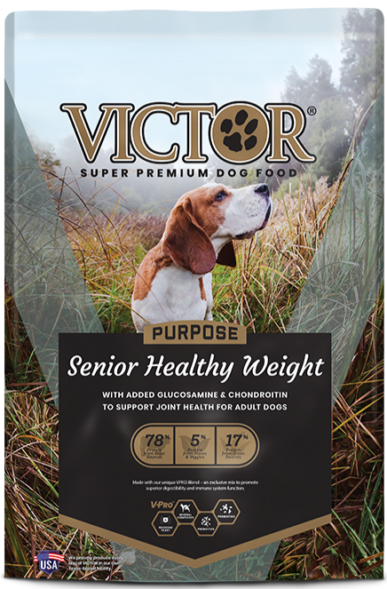 Victor senior shop dog food