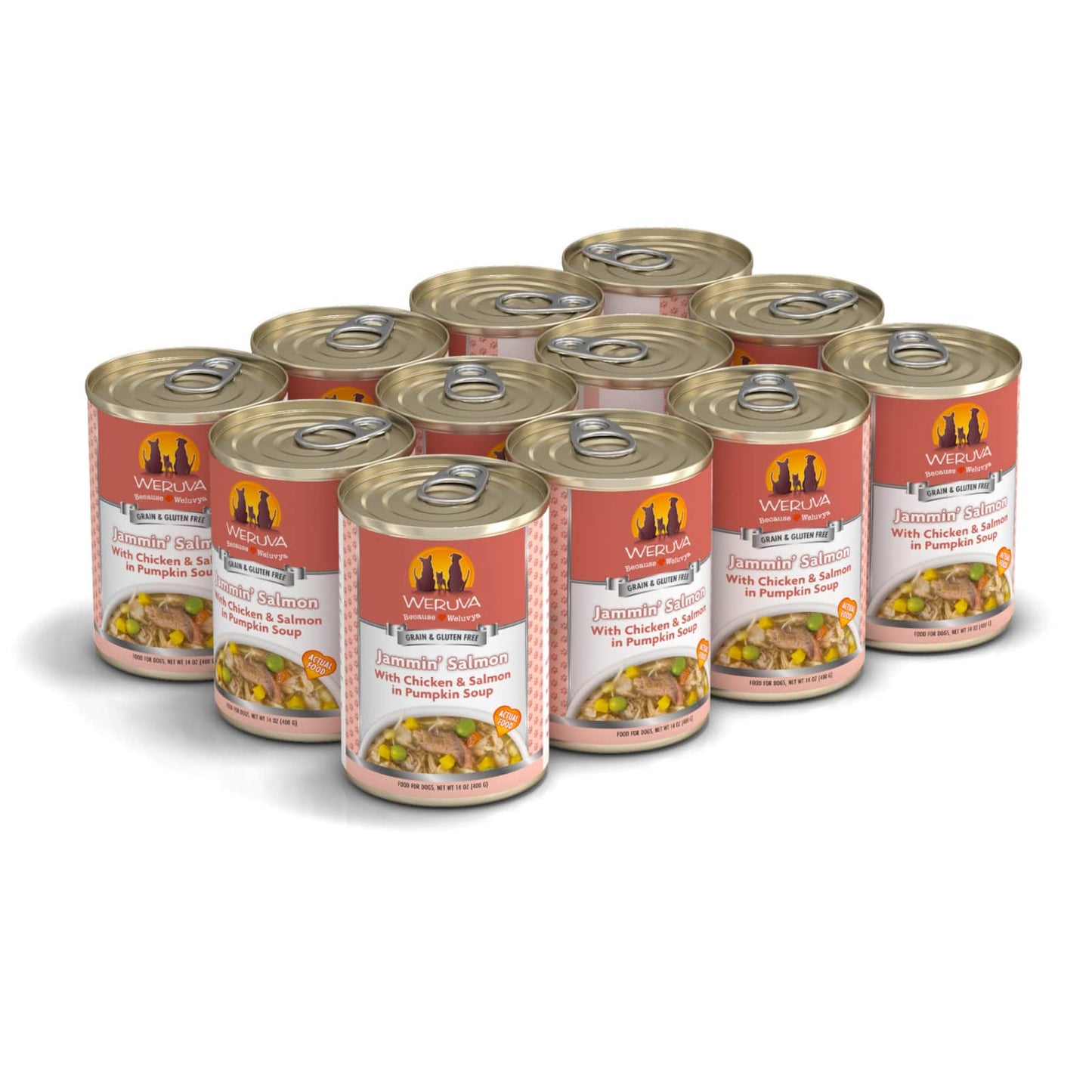 Weruva Jammin' Salmon With Chicken and Salmon in Pumpkin Soup, Wet Dog Food