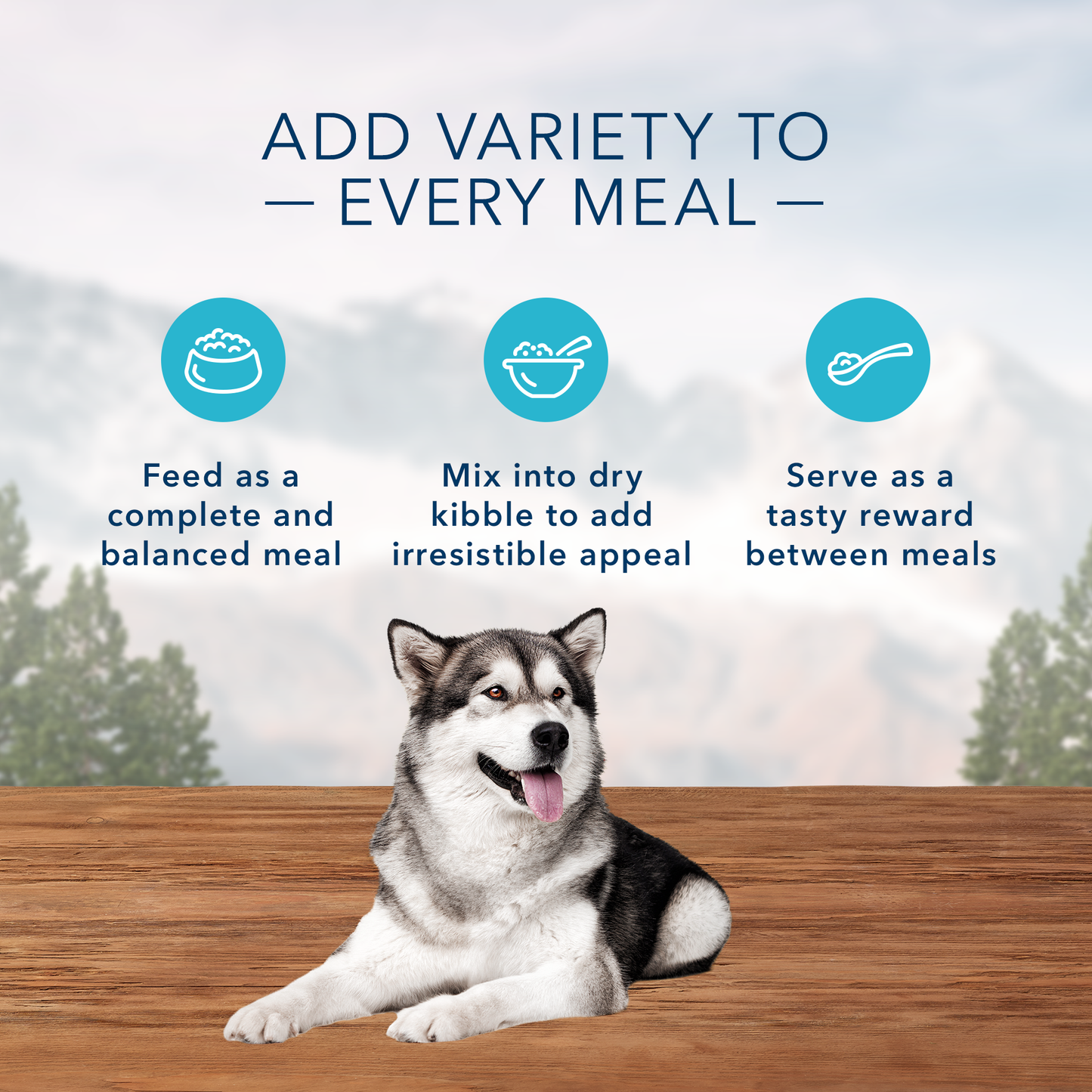 Blue Buffalo Wilderness Wolf Creek Stew High Protein, Natural Wet Dog Food, Chunky Chicken Stew in gravy 12.5-oz, Case of 12