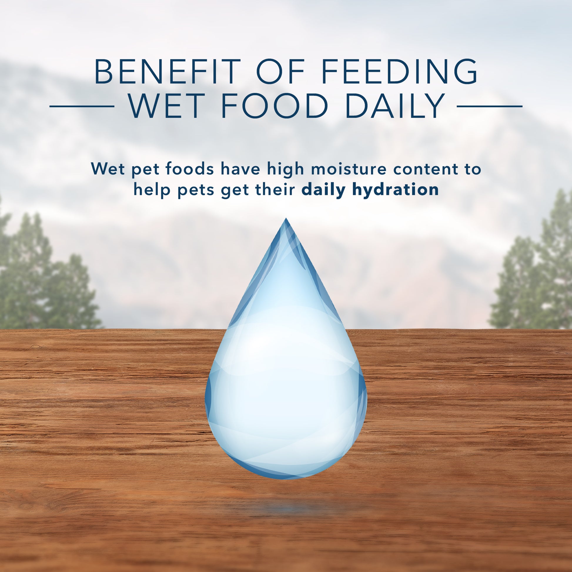 Benefits of Wet Dog Food