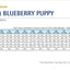 Farmina N&D Ancestral Grain Lamb & Blueberry Puppy Mini, Dry Dog Food, 5.5-lb Bag