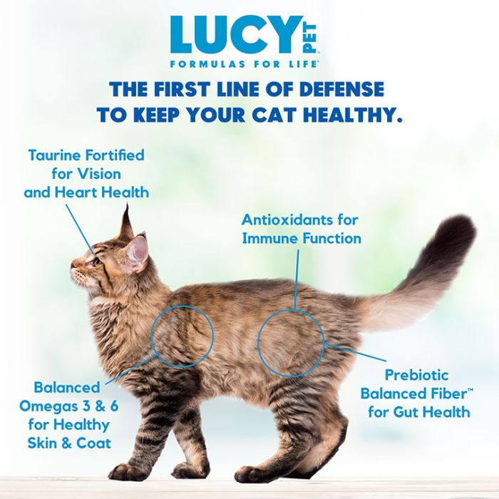 Lucy Pet Chicken, Brown Rice, And Pumpkin Limited Ingredient Diet, Dry Cat Food